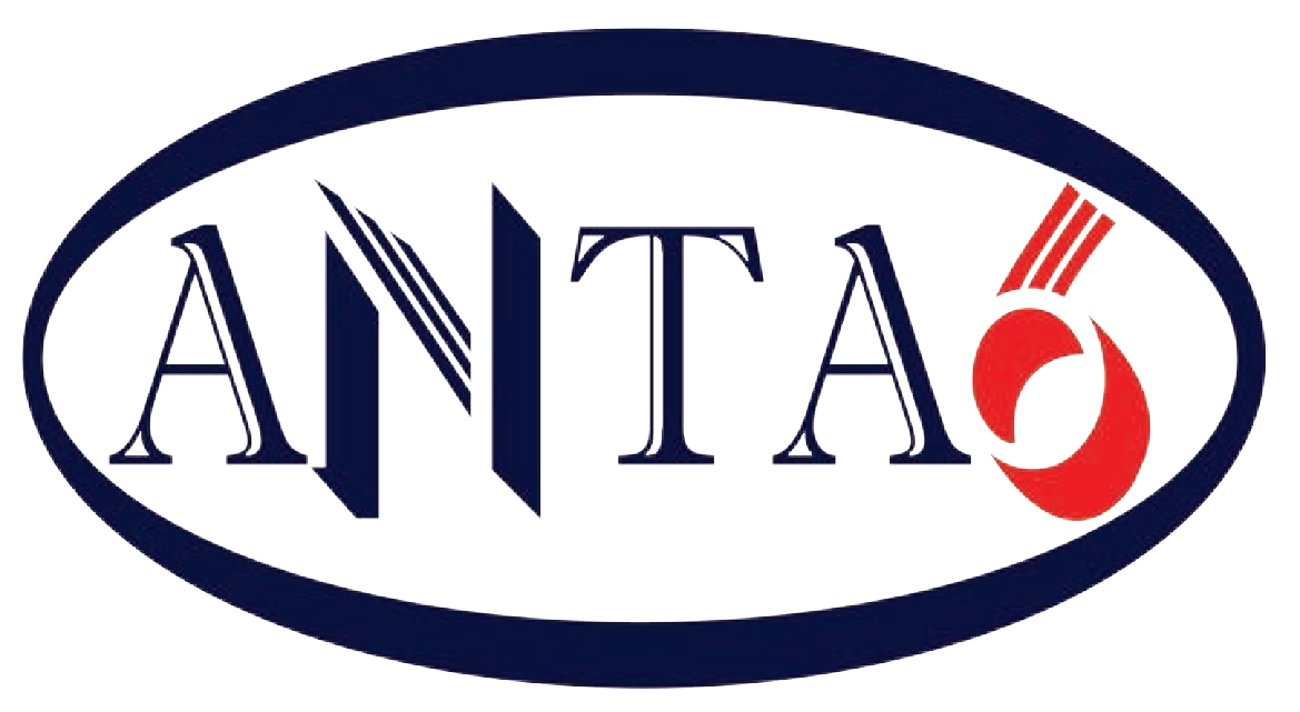 Anta 6
